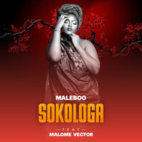 Sokologa - Maleboo & Malome Vector