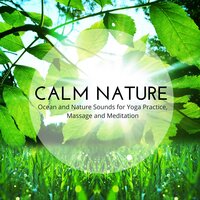 Quiet Stream - Nature Sounds Radio