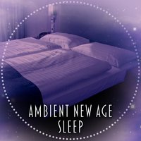Have a Nice Dream - All Night Sleeping Songs to Help You Relax