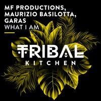 What I Am - MF Productions & Maurizio Basilotta & Garas