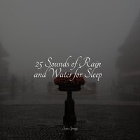 White Noise Rain Umbrella - Musique Zen Garden & Rain Sounds & Namaste Healing Yoga