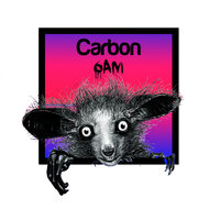 About You - Carbon & Skelesys