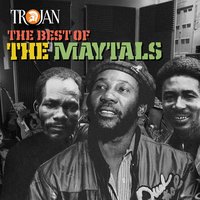 Johnny Cool Man - The Maytals