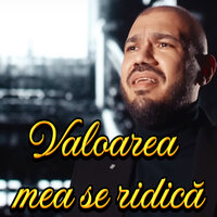 Am frumusete - Narcis de la Barbulesti