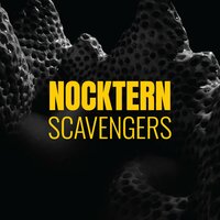 Home - Nocktern