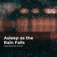 Evening Tropical Rain - Deep Sleep Rain Sounds & Rain Sounds Collection & Rain Meditations