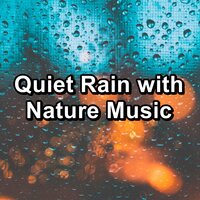 Forest Rain and Nature Sounds in the Night - Spa Music & Spa & Spa Relax Music