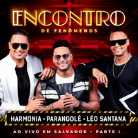 Open Bar - Parangolé