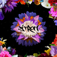 Sweet Pea - DJ Tron