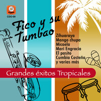 Zihuaraya - Fico Y Su Tumbao