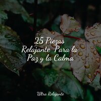 Mente Abierta - Musica para Meditar Especialistas & Massagem Música & Meditacao Clube