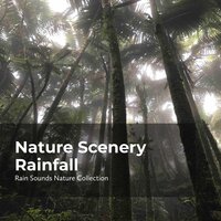 Tranquil Earthy Rain - ASMR Rain Sounds & Rain Sounds Nature Collection & Sleepy Rain