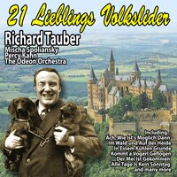 Vergissmeinnicht, Du Blümlein Blau - Richard Tauber feat.  Mischa Spoliansky, Percy Kahn, The Odeon Orchestra & Richard Tauber & Mischa Spoliansky & Percy Kahn & The Odeon Orchestra