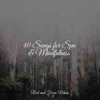 Drifting - Academia de Música para Massagem Relaxamento & Especialistas de Musica para Dormir & Meditation Music Experience