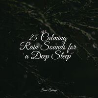 River, Medium, Stream, Creek - White Noise for Baby Sleep & Rain Shower Spa & Mother Nature FX