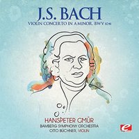 Violin Concerto in A Minor, BWV 1041: Andante - Hanspeter Gmür & Bamberg Symphony Orchestra & Otto Buchner & Johann Sebastian Bach