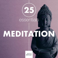 Zen Revolution - Relaxing Music Therapy