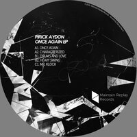 Heavy Swing - Pirick Aydon