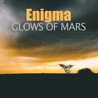 Shady Cheeks - Enigma