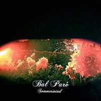 Dominique - Bal Paré