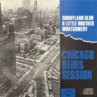 Disc Jockey Special - Sunnyland Slim & Little Brother Montgomery