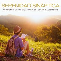 Paz para el Alma - Academia de Música para Estudiar Fácilmente
