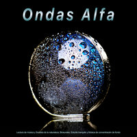 Relajarse - Ondas Alfa & Música para Leer & Musica relajante