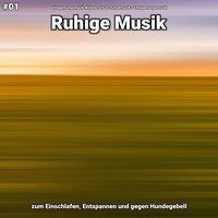 Ruhige Musik Teil 26 - Entspannungsmusik Nicklas Schul & Schlafmusik & Entspannungsmusik