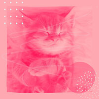 Romantic Cute Cat - Relax My Cat