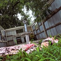 i am not brave - Rural Internet