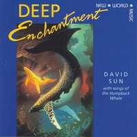 Deep Enchantment B - David Sun