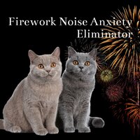 Natural Remedy - Cats Music Zone & Cat Music Relaxation & Cat & Calm