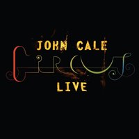 Look Horizon - John Cale