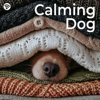 Tranquil Tones of Canine Relaxation - Dog Music Experience & RelaxMyDog & The Rabbit Relaxer