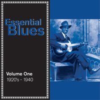 Mountain Blues - Big Bill Broonzy