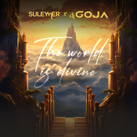 The World Is Divine - Suleymer & Dj Goja