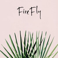 Mother Drummer - Firefly