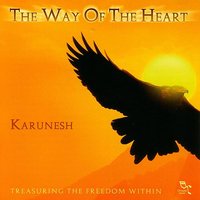 Riverdance - Karunesh