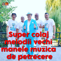 Super colaj melodii vechi manele muzica de petrecere - Nelu Vlad & FORMATIA AZUR & AZUR DIN BRAILA