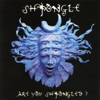 Shpongle Falls - Shpongle