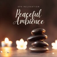 Serene Stillness - Spa Relaxation