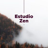 Musica Instrumental Relajante - Radio Musica Clasica