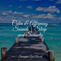 Ocean Waves - Musica Reiki & Sleep Sound Library & Meditation Relaxation Club & Nature Sounds & Rain Sounds