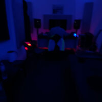 Цвети - 1337