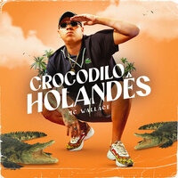 Crocodilo Holandês - Mc Wallace