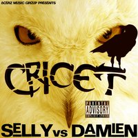 The Shine - Cricet