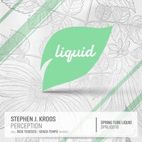 Perception - Stephen J. Kroos