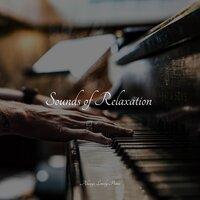 Serene Nighttime - Yoga Piano Music & Piano Music for Work & Chillout Lounge Relax