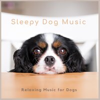 Dogs Sleeping - Sleepy Dog Music