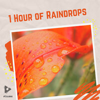 Rain For Days - #Calming & Rain Sound Studio